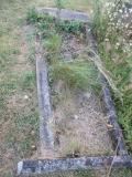 image of grave number 502025